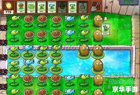 植物大战僵尸2 钥匙 植物大战僵尸2钥匙:解锁游戏新篇章 植物大战僵尸2 钥匙 植物大战僵尸2钥匙:解锁游戏新篇章