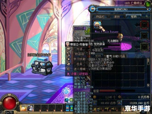 DNF迷你宠物悉数登场：可爱与战斗的完美结合