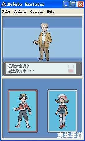 **口袋妖怪魂银黑屏问题分析与解决**