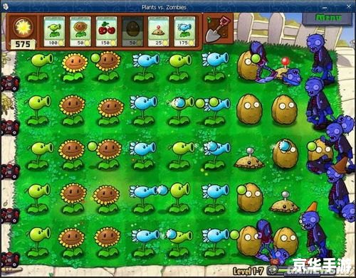 植物大战僵尸攻略图 植物大战僵尸全面攻略：图文并茂，轻松通关！