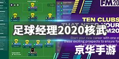 《FM2011核武》：足球经理的革命性工具