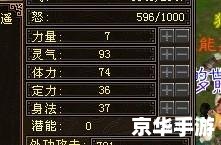 天龙八部天龙加点攻略 天龙八部天龙加点攻略