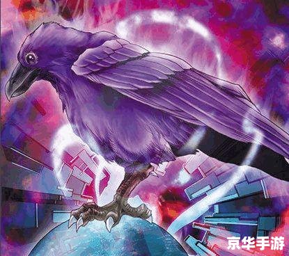 游戏王801:探索新的卡牌世界 游戏王801:探索新的卡牌世界