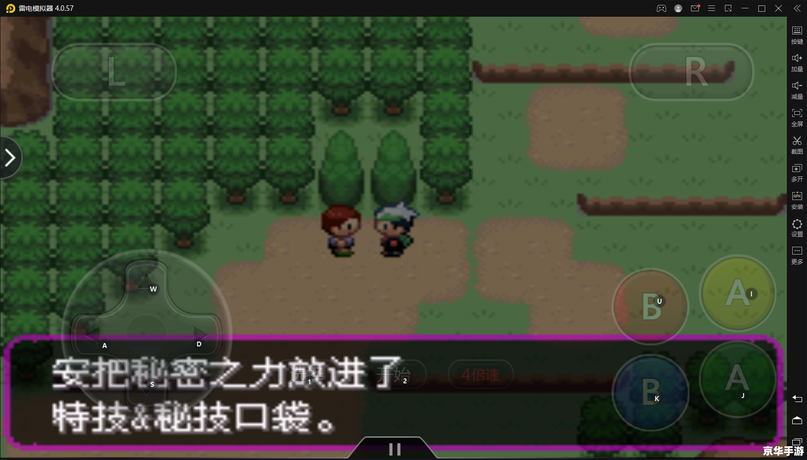 深入探索：GBA口袋妖怪绿宝石493的魅力与挑战
