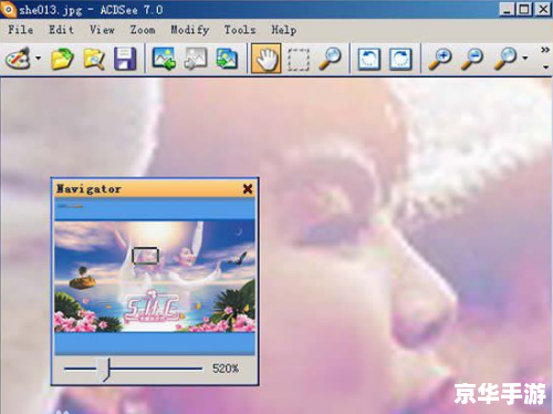 acdsee中文版 acdsee中文版