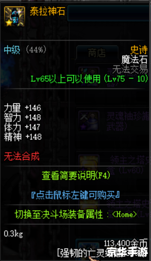 领主之塔SS：策略、战斗与荣耀的完美结合