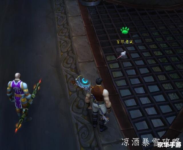 达拉然下水道在哪 **达拉然下水道探秘：隐藏在魔法之都的暗影世界**