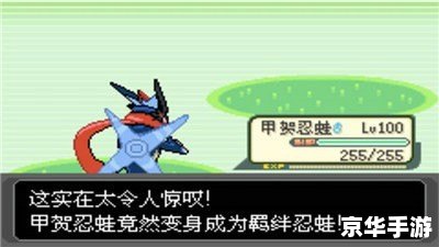 探索GBA绿宝石金手指的奇妙世界 探索GBA绿宝石金手指的奇妙世界