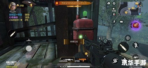 使命召唤手游变异狂潮用什么枪 **《使命召唤手游》变异狂潮模式枪械选择指南** 使命召唤手游变异狂潮用什么枪 **《使命召唤手游》变异狂潮模式枪械选择指南**