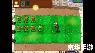 植物大战僵尸修改器使用方法 植物大战僵尸修改器使用详解