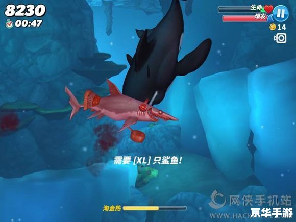 饥饿的鲨鱼存档:游戏攻略与心得分享 饥饿的鲨鱼存档:游戏攻略与心得分享