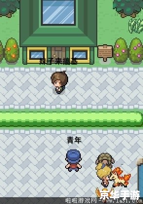 口袋妖怪-混乱世界:探索、挑战与策略的游戏体验 口袋妖怪-混乱世界:探索、挑战与策略的游戏体验