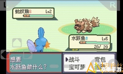 口袋妖怪-混乱世界：探索、挑战与策略的游戏体验