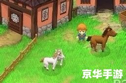 **牧场物语双子村金手指：游戏中的无尽乐趣与探索**