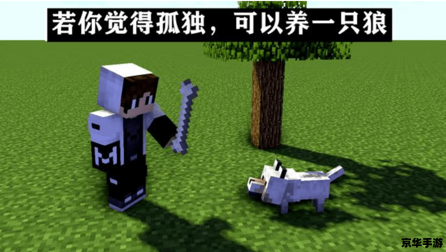 我的世界种子 探索无尽世界:解析《我的世界》中的种子概念 我的世界种子 探索无尽世界:解析《我的世界》中的种子概念