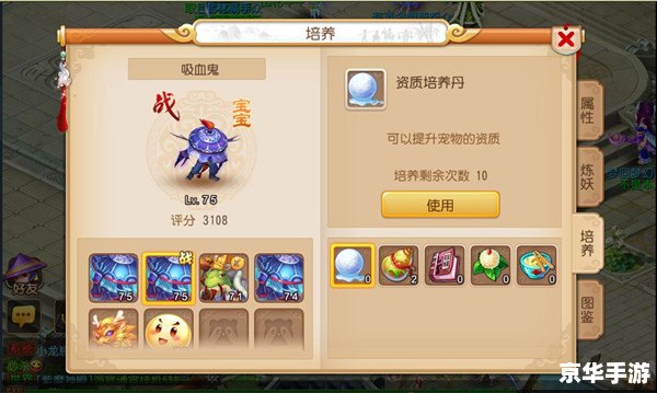 梦幻西游舍利子:揭秘游戏中的神秘物品 梦幻西游舍利子:揭秘游戏中的神秘物品