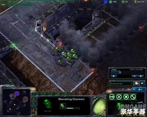 星际争霸2虫族战术 **星际争霸2:虫族战术深度解析** 星际争霸2虫族战术 **星际争霸2:虫族战术深度解析**