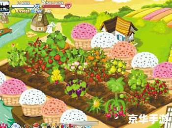 开心农场偷菜种菜 开心农场:偷菜种菜的乐趣与挑战 开心农场偷菜种菜 开心农场:偷菜种菜的乐趣与挑战