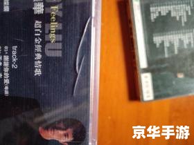 经典歌曲安装 经典歌曲安装