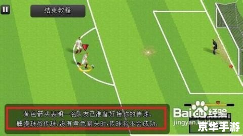FM2012前锋:球场上的得分利器 FM2012前锋:球场上的得分利器