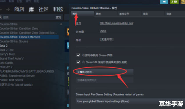 CSGO国际服启动项设置全攻略 CSGO国际服启动项设置全攻略