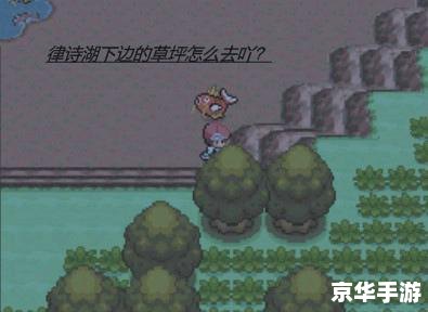 宠物小精灵白金攻略 **宠物小精灵白金版:攻略与心得** 宠物小精灵白金攻略 **宠物小精灵白金版:攻略与心得**