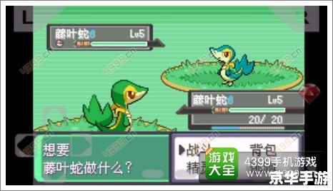 口袋妖怪黑白 金手指 **《口袋妖怪黑白》金手指:探索、挑战与无尽乐趣** 口袋妖怪黑白 金手指 **《口袋妖怪黑白》金手指:探索、挑战与无尽乐趣**