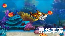 大鱼吃小鱼的游戏 大鱼吃小鱼:生存竞争的游戏世界 大鱼吃小鱼的游戏 大鱼吃小鱼:生存竞争的游戏世界