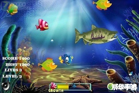 大鱼吃小鱼双人版：深海争霸