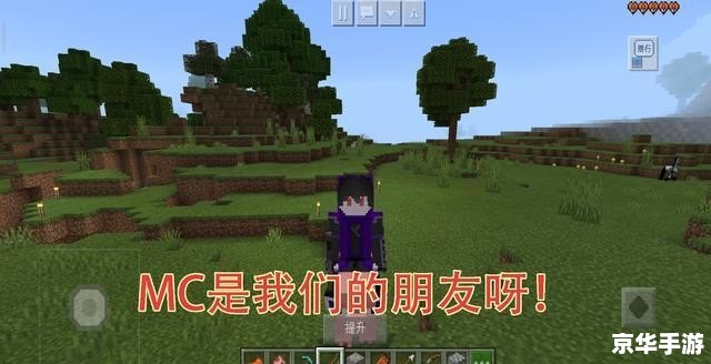 我的世界怎么玩 探索、创造与生存:深入解析《我的世界》的游戏魅力 我的世界怎么玩 探索、创造与生存:深入解析《我的世界》的游戏魅力