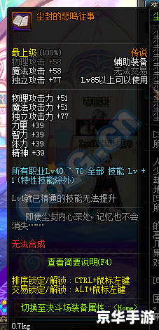 DNF悲鸣:深度解析与攻略 DNF悲鸣:深度解析与攻略