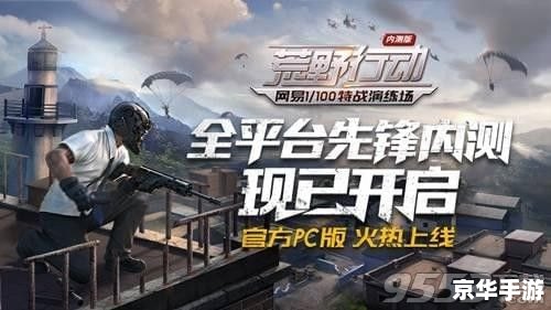 荒野行动透视：游戏中的视角与战术分析