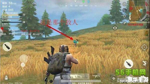 荒野行动透视：游戏中的视角与战术分析