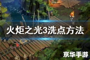 火炬之光 洗点 火炬之光：洗点策略与角色重塑的艺术