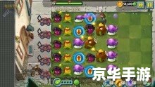 植物大战僵尸2  奇妙时空之旅 植物大战僵尸2：奇妙时空之旅——探索新的世界与策略