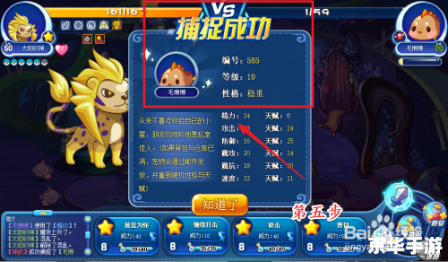 洛克王国瓦斯叮当:揭秘游戏背后的魔法世界 洛克王国瓦斯叮当:揭秘游戏背后的魔法世界