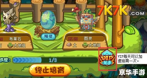 洛克王国 宠物 **洛克王国宠物系统深度解析**