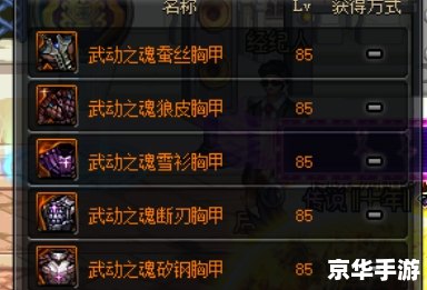 DNF回蓝装备选择与策略