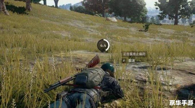 绝地求生xenuine 绝地求生：Xuenine版本探秘