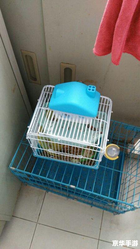仓鼠球怎么安装 仓鼠球怎么安装