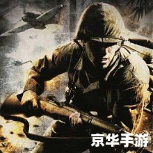 荣誉勋章之血战太平洋攻略 荣誉勋章之血战太平洋:太平洋战场的英勇传奇 荣誉勋章之血战太平洋攻略 荣誉勋章之血战太平洋:太平洋战场的英勇传奇