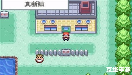 **口袋妖怪火红:重温经典,探索无限** **口袋妖怪火红:重温经典,探索无限**