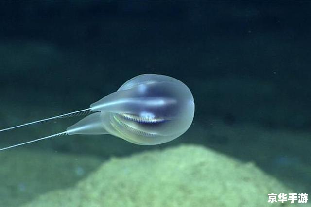 《寄生前夜3》:探索未知,决战寄生生物 《寄生前夜3》:探索未知,决战寄生生物