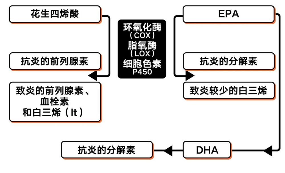 我叫mt dkp 《我叫MT:DKP》游戏深度解析 我叫mt dkp 《我叫MT:DKP》游戏深度解析