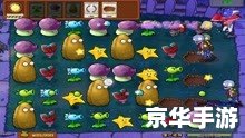 植物僵尸大作战:策略与生存的游戏传奇 植物僵尸大作战:策略与生存的游戏传奇