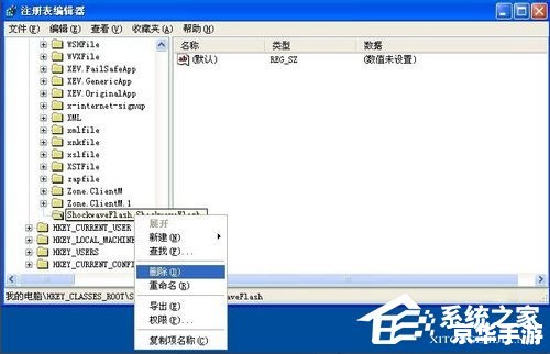 flash player 官方怎么安装最新版 如何安装最新版的Adobe Flash Player