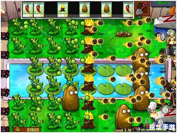 怎么用植物大战僵尸中文版 植物大战僵尸中文版的全面使用指南 怎么用植物大战僵尸中文版 植物大战僵尸中文版的全面使用指南