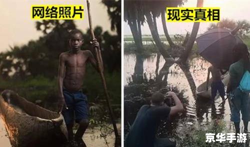 **模拟农场16：体验真实的农场生活**