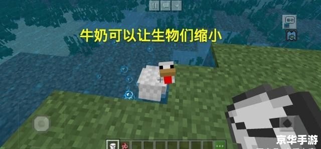 我的世界大海解说 【探索与征服】:“我的世界”中的海洋冒险解说 我的世界大海解说 【探索与征服】:“我的世界”中的海洋冒险解说