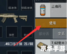 和平精英怎么踢人 和平精英踢人机制解析 和平精英怎么踢人 和平精英踢人机制解析